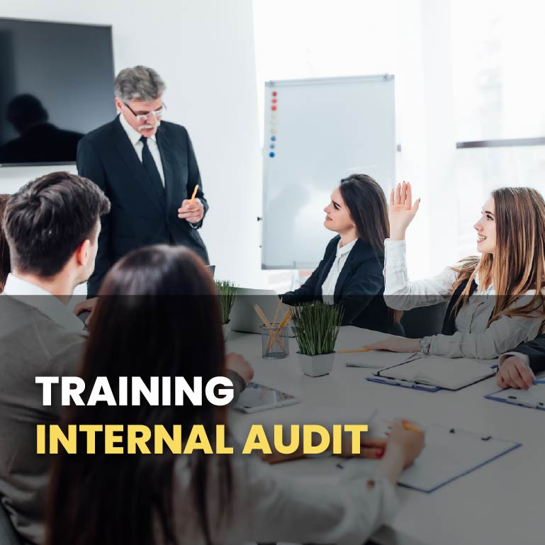 Training internal audit
